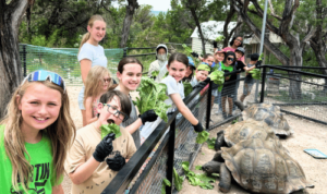 Kids at the zoo on a field trip